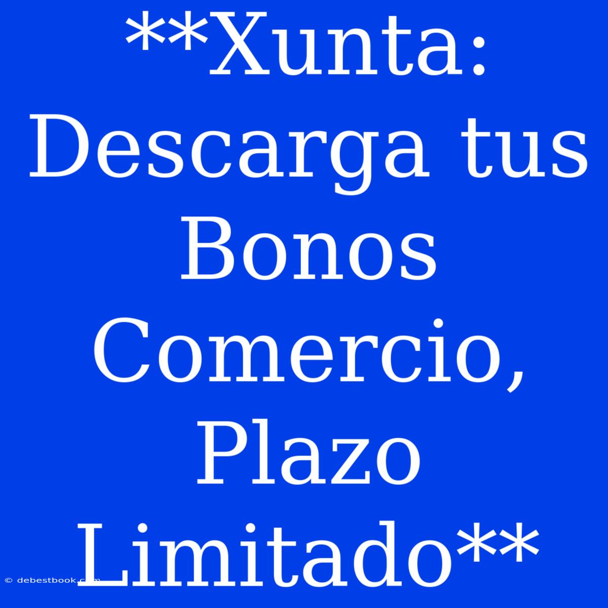 **Xunta: Descarga Tus Bonos Comercio, Plazo Limitado**