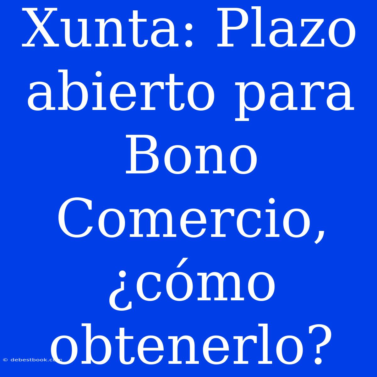 Xunta: Plazo Abierto Para Bono Comercio, ¿cómo Obtenerlo?