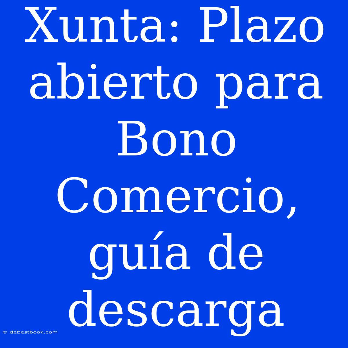 Xunta: Plazo Abierto Para Bono Comercio, Guía De Descarga