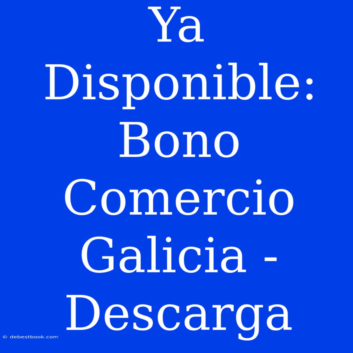 Ya Disponible: Bono Comercio Galicia - Descarga