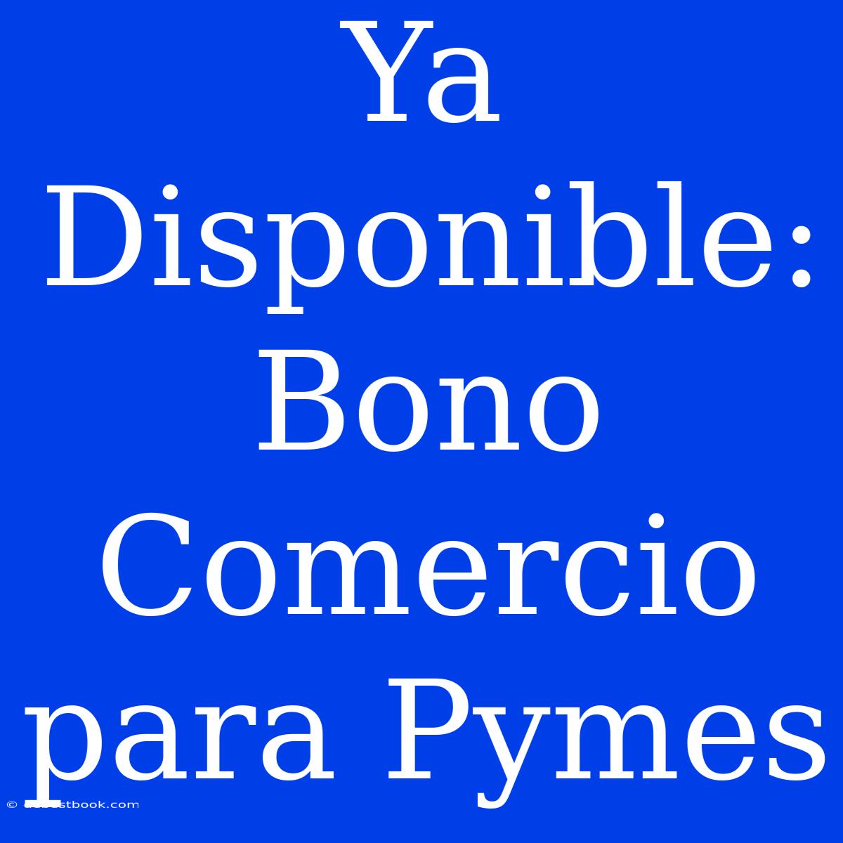 Ya Disponible: Bono Comercio Para Pymes