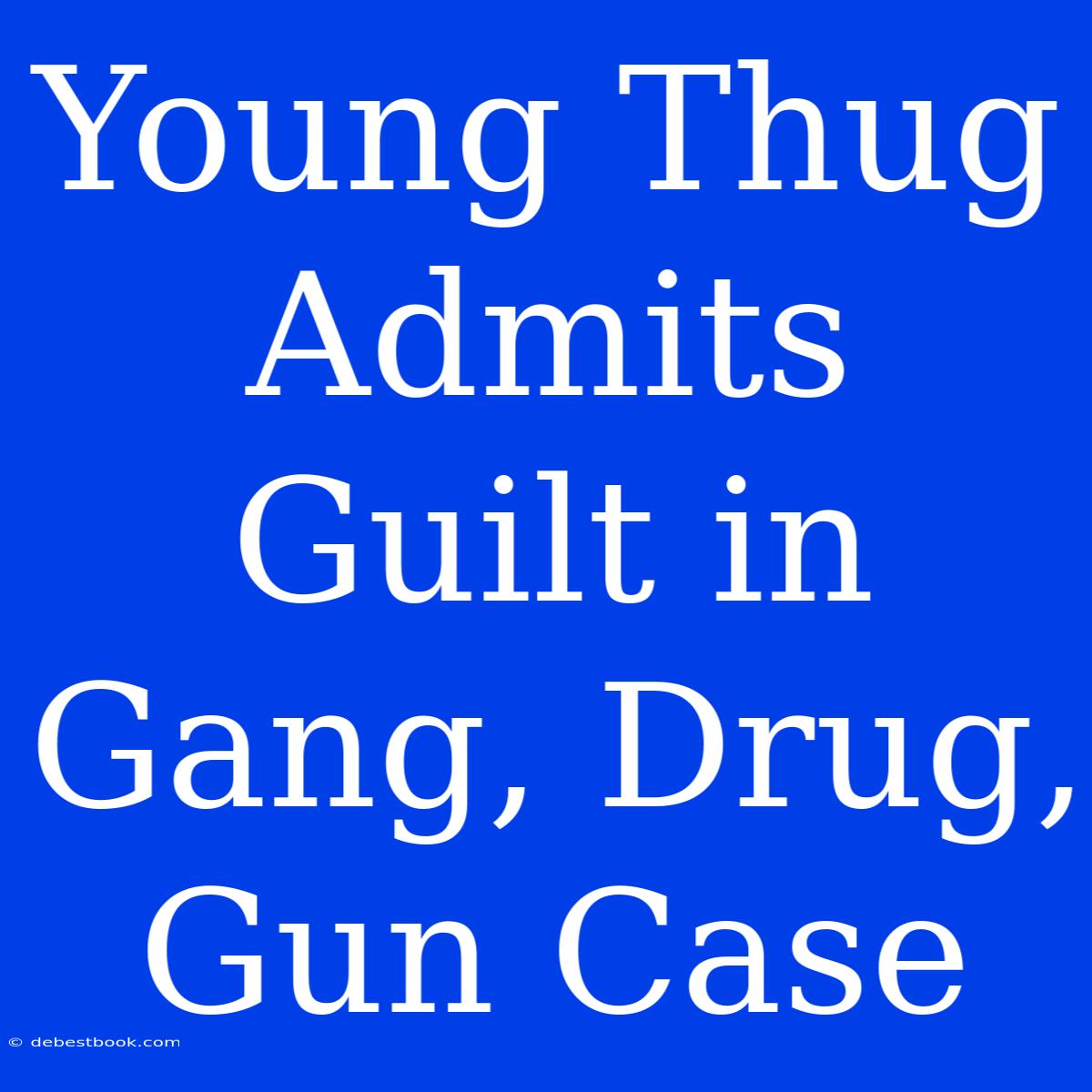 Young Thug Admits Guilt In Gang, Drug, Gun Case