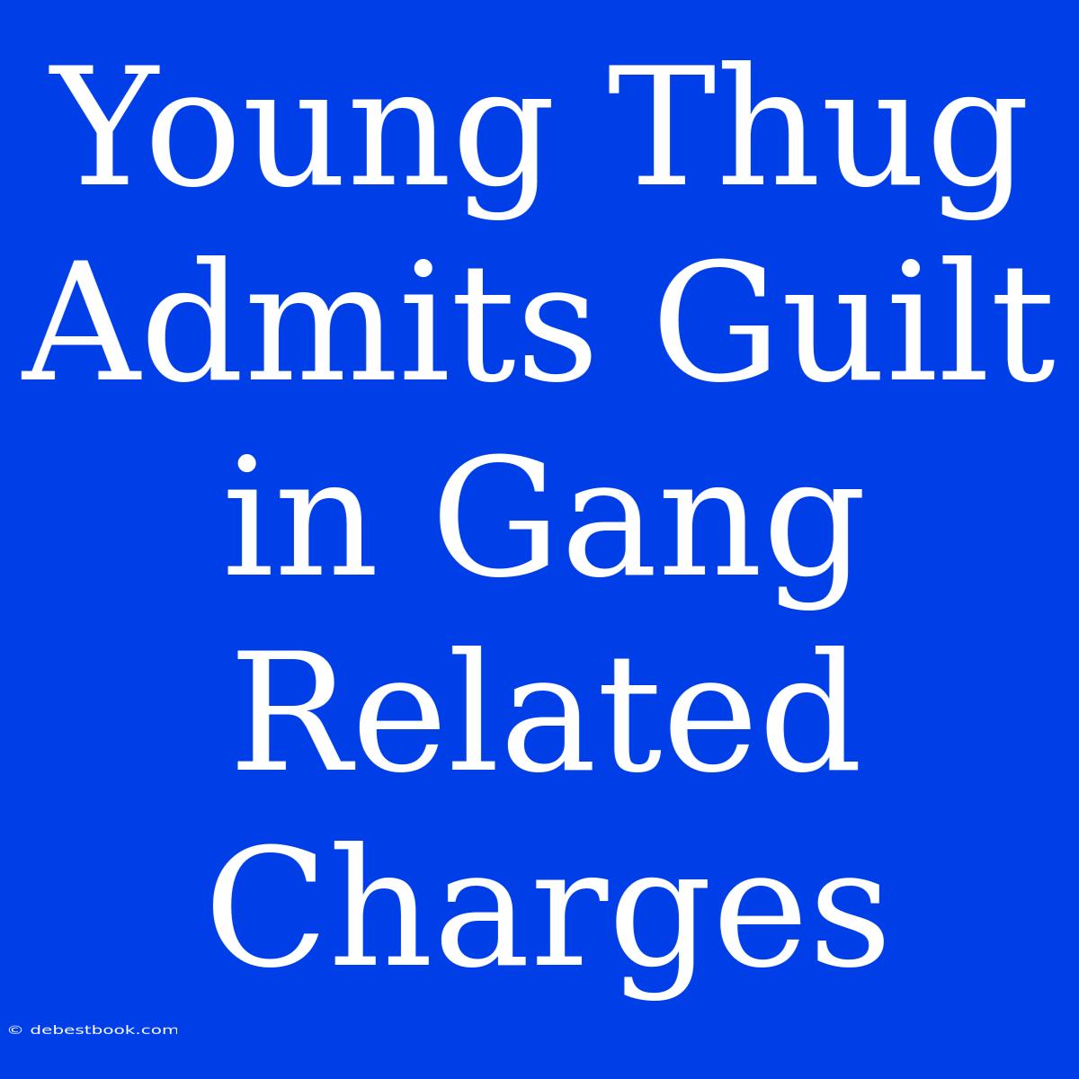 Young Thug Admits Guilt In Gang Related Charges