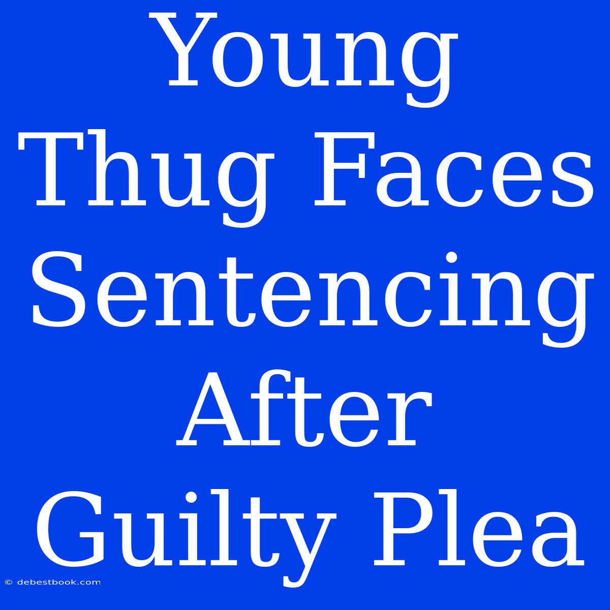 Young Thug Faces Sentencing After Guilty Plea