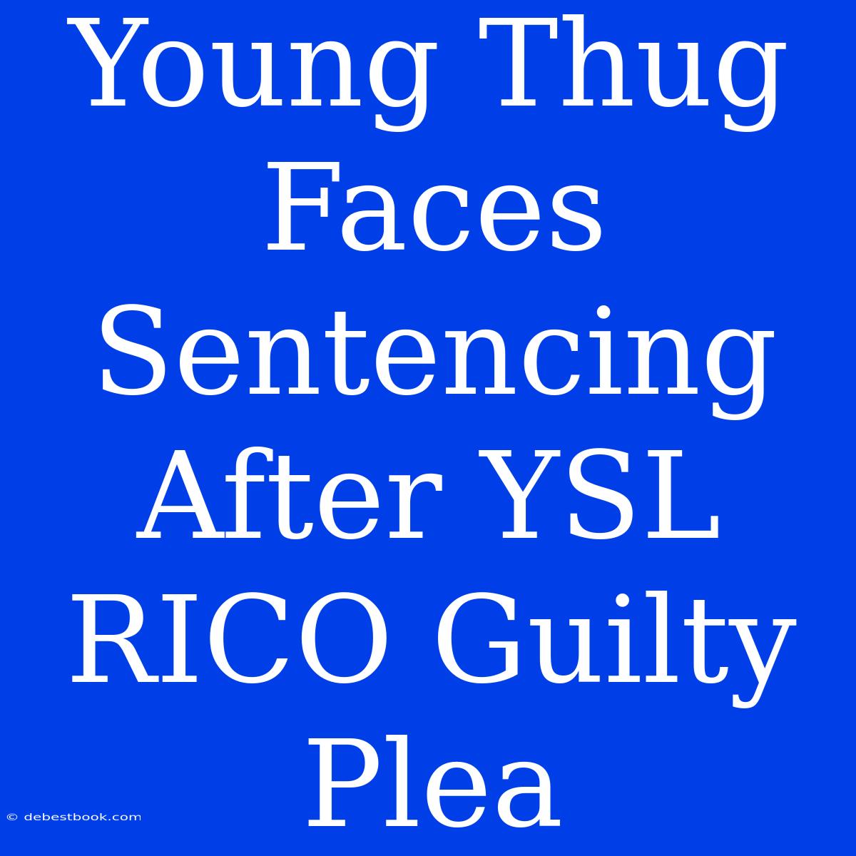 Young Thug Faces Sentencing After YSL RICO Guilty Plea