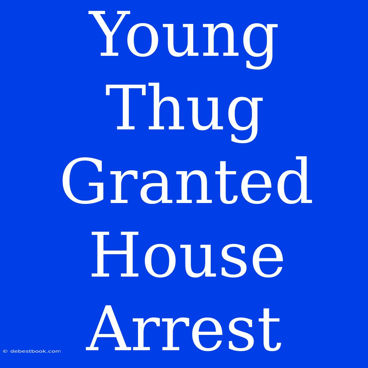 Young Thug Granted House Arrest 