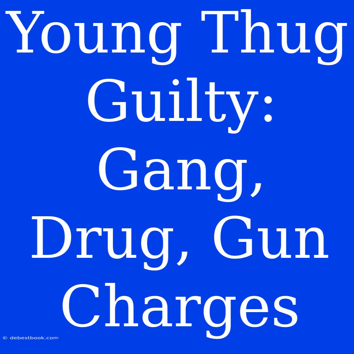 Young Thug Guilty: Gang, Drug, Gun Charges