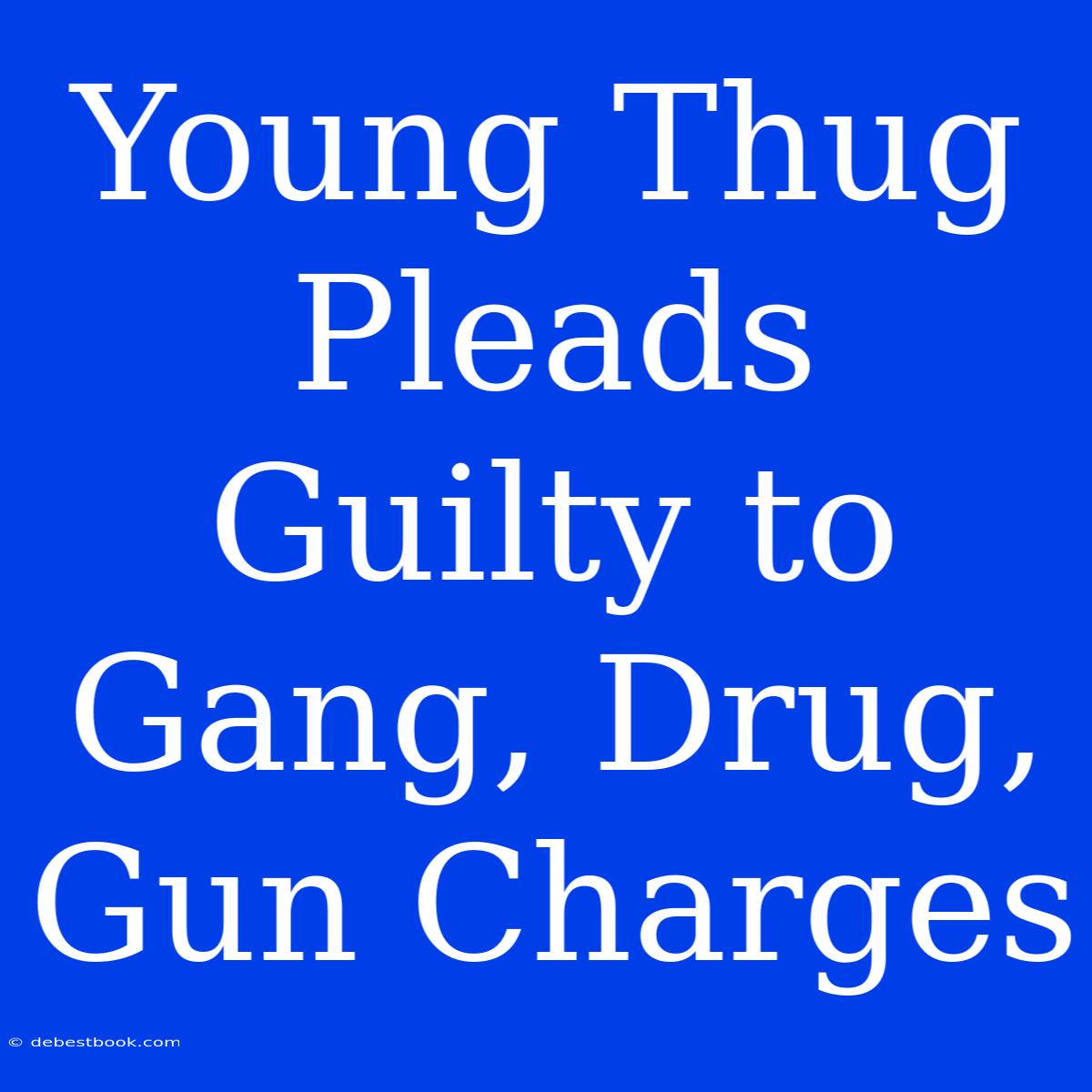 Young Thug Pleads Guilty To Gang, Drug, Gun Charges