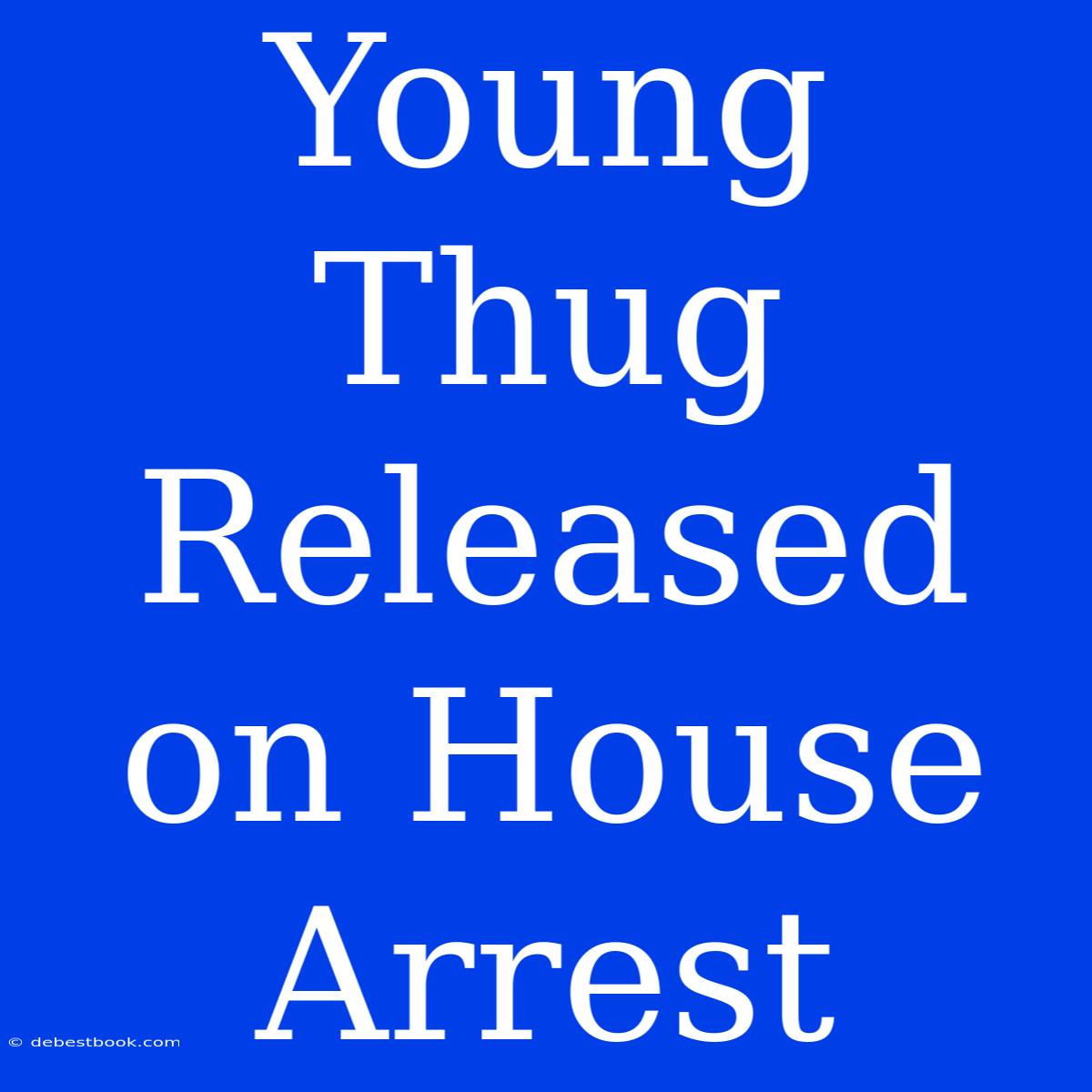 Young Thug Released On House Arrest