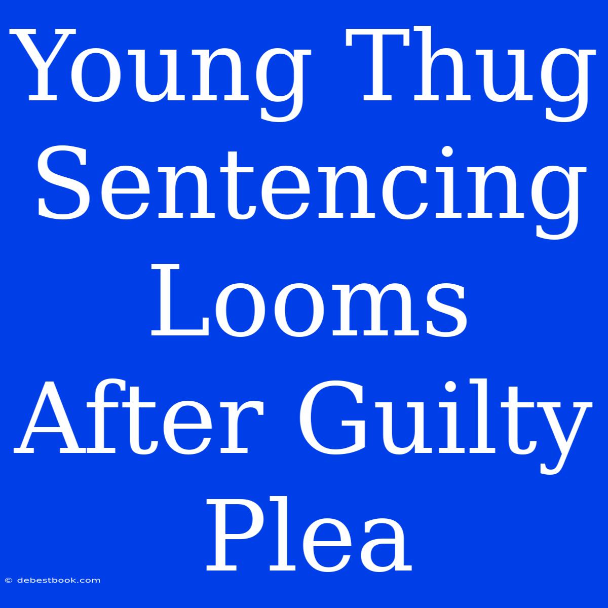 Young Thug Sentencing Looms After Guilty Plea 