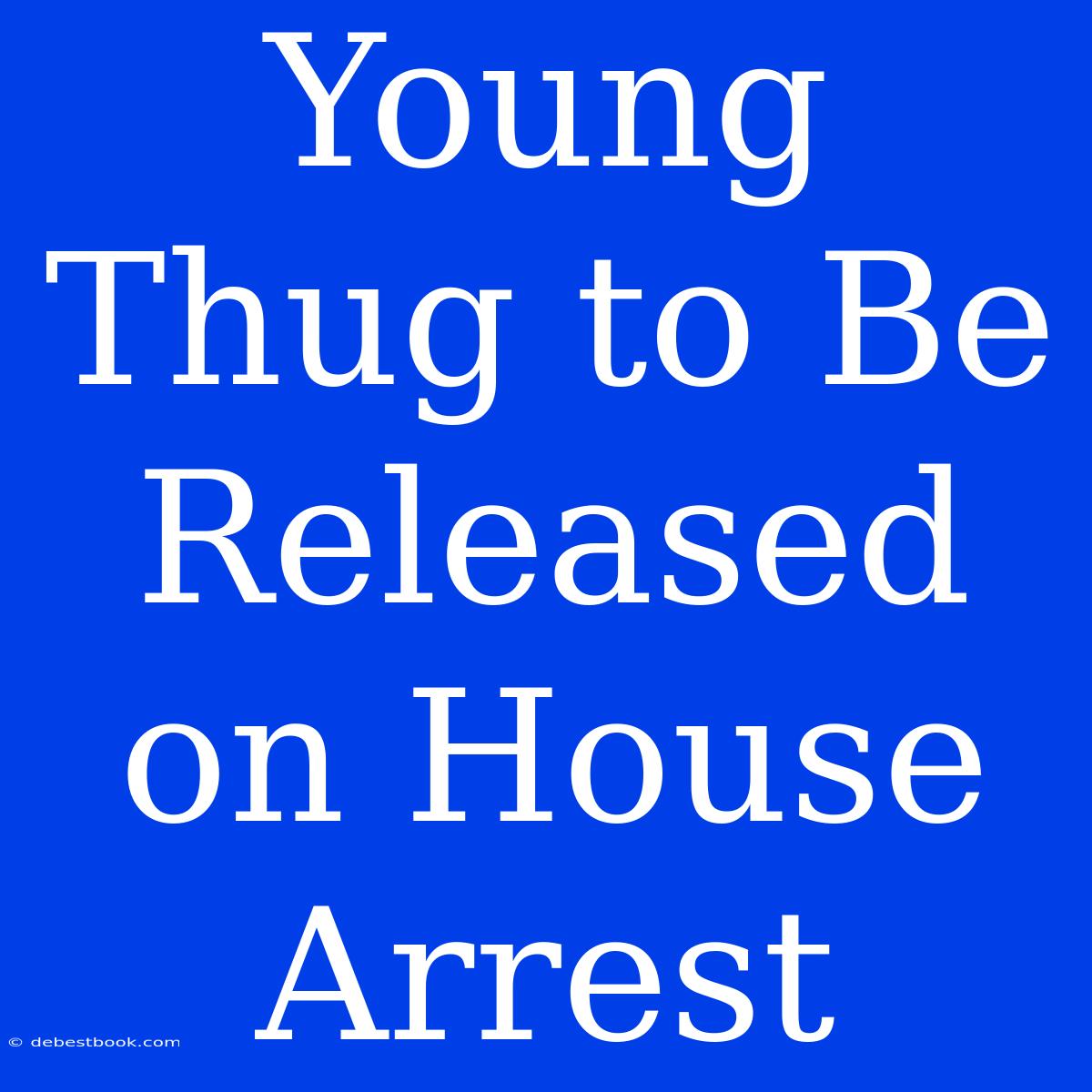 Young Thug To Be Released On House Arrest 